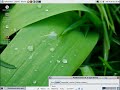 Probando OpenSolaris / Testing OpenSolaris