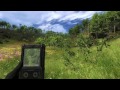 The Hunter 2013 - Deer Uprising