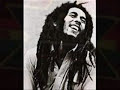 Bob marley - Rastaman live up!