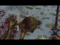 Top 5 Skyrim Mods of the Week - Decapitating Donatello