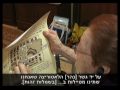 הבטחה ומגמה: עדותה של חנה אורן (שנפלד)