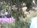 שירי מימון - כשאת עצובה בפיקניק של סלקום 21.5.10