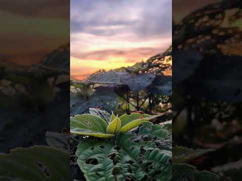 আসলেই কথাগুলো বাস্তবিক। #waz #abutohamohammadadnan #shorts #islamicshorts