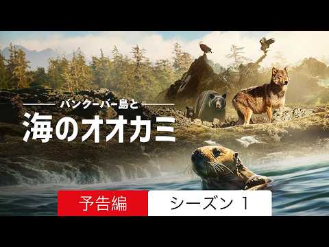 バンクーバー島と海のオオカミ :: 予告編 シーズン 1 :: 見るべきか