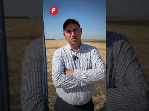 Cosmin Micu: 10 tone în plus la porumbul irigat🌽