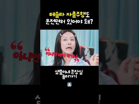 메이크업에 모든 능력치 몰빵한 정샘물 #테슬라 #자율주행