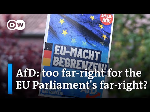 EU elections: Germany’s far-right AfD expelled from its own parliamentary group | DW News