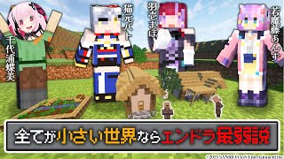 【マイクラ】世界がとんでもなく小さくなった世界でエンドラ討伐!?-羽壱まほ/千代浦蝶美/猫元パト- #ブイクラ2025 直前コラボ【若魔藤あ