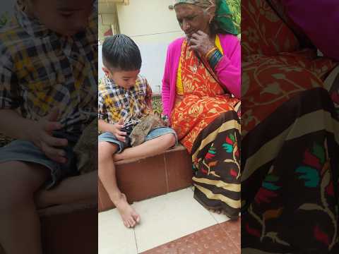 chunchun #doon_vaasi #viralvideo #subscribe #lifeisbutadream #cutebaby #animals #love