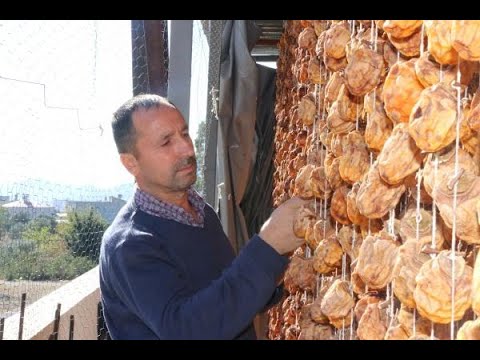 Adana'da 80 ton hurmayı kurutup, satıyor