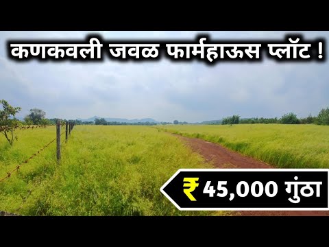 सिंधुदुर्गात कणकवली जवळ फार्महाऊस प्लॉट 45 हजार दरात !