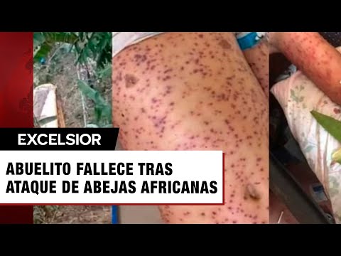 Abuelito muere por ataque de abejas africanas