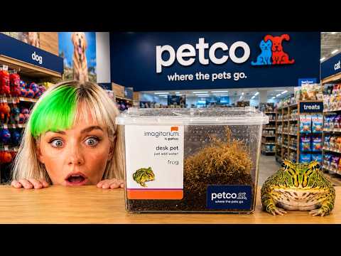 I Bought a Desk Pet From Petco....and this happened