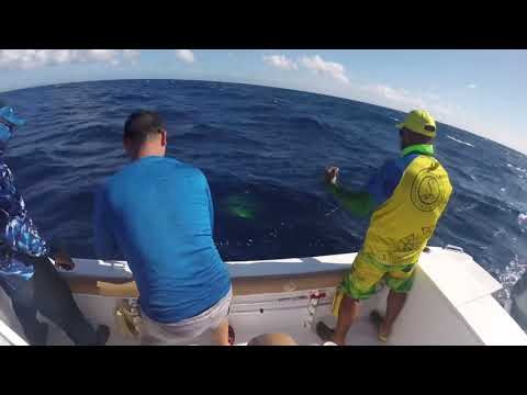 Blog “ De Pesca En PR Sin Saber Pescar 🎣 “ Erny  Cogiendo  Regaños