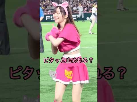 何回で止めれた？#ピタ止め #きつねダンス#可愛い