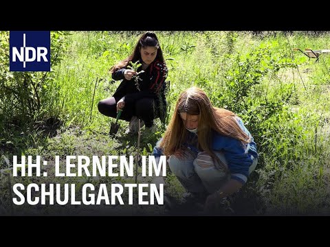 Hamburg: Klassenzimmer Schulgarten | Die Nordreportage | NDR Doku