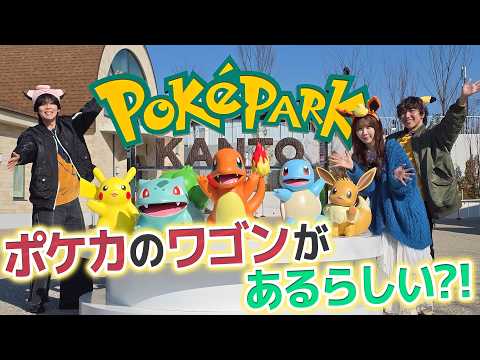 【ポケパーク カントー】ポケカのワゴンがあるらしい？！【ポケモンカード】