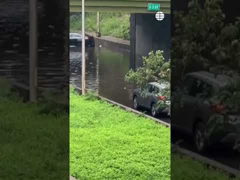 Estado de emergencia en Nueva York por las lluvias e inundaciones