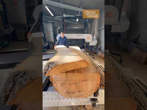 Milling some beautiful brown heart Ash for salad bowls
