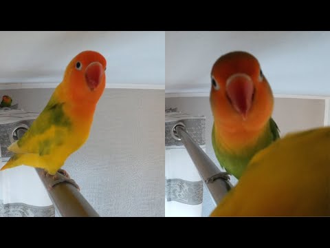 I left the camera alone for 9 minutes. This is what happened