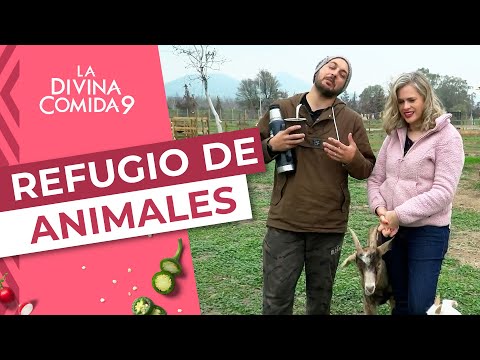 NOBLE CAUSA: La casa refugio para animales de Eliana y Federico - La Divina Comida