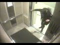 Girl Saves Dog in Elevator: Original Video (Shocking Video)