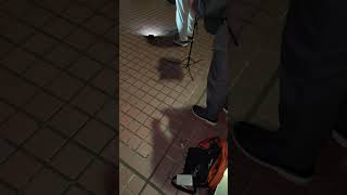 ライブ ハイライト