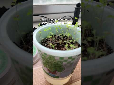 Cuộc sống là vậy luôn có người hỏi Bạn kiếm được bao nhiêu tiền rồi!