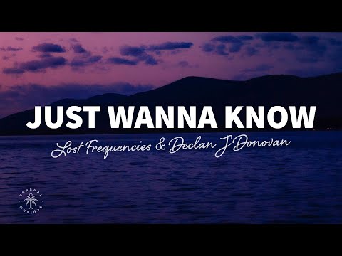 Lost Frequencies & Declan J Donovan - Just Wanna Know (Lyrics)