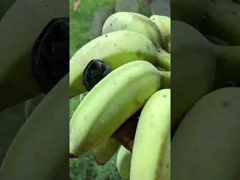 ngày 28 tháng 10, 2025