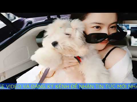 Nhan sắc U40 của Lưu Diệc Phi gây sốt