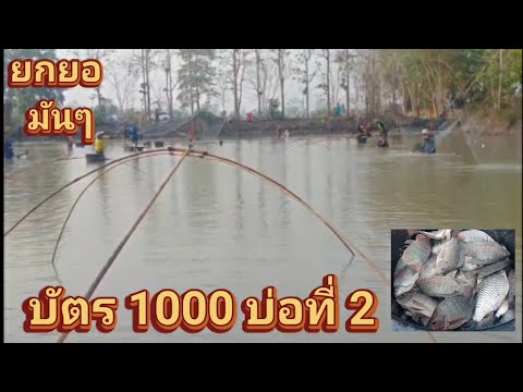 #ยกยอ-มันๆ-บัตร1000-บ่อที่2-หม #ยกยอ-มันๆ-บัตร1000-บ่อที่2-หม