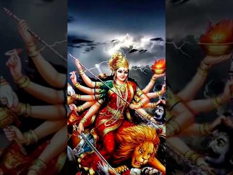 Sher sawari Sherawali Sherawali#shortsfeed