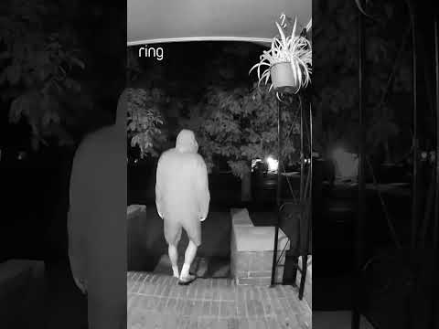 "They have a Ring". One look at Dani's Ring doorbell, and they were gone! 🔔