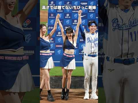 雅英とトラビスに高さで勝てないちびっこ慈妹（つーめい） Fubon Angels #台湾チア  2025/5/13 新莊棒球場【台湾チアTV】