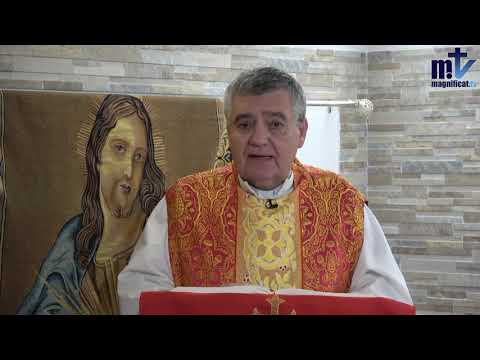 Homilía de hoy | Memoria de San Ireneo, obispo y mártir  | 28-06-2024 | Pbro. Santiago Martín, FM