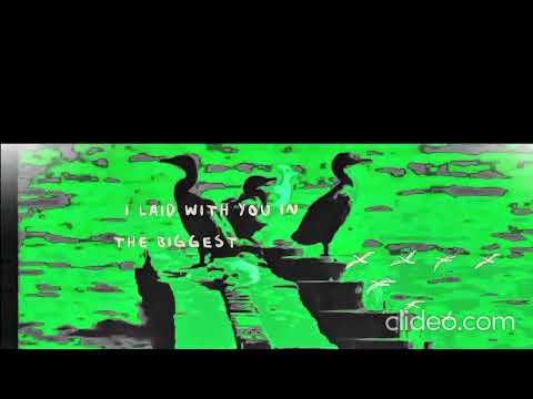 Sugar Water Gigi Perez