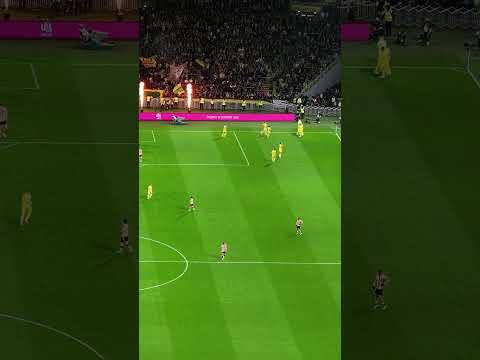 ⚽ Le but de Douglas Augusto, vu du ciel ! #FCNPSG #fcnantes #ligue1 #football