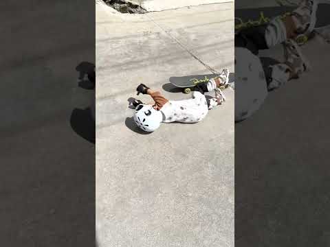 Cute Mexica Plush Dancing Cactus Electric Plush Toy 🍄🌿🍁