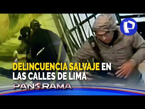 Delincuencia salvaje: La inseguridad sigue ganando terreno en varios distritos de Lima
