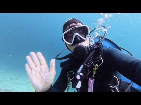 Dive Adventure Maricaban Island Part 1