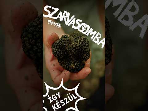Hogyan vadásszunk szarvasgombára? | Nosalty
