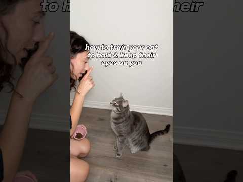 stay tuned for more how to’s! 🤠 #cat #cattrainingtips #cattraining #cattrainingvids #catsofyoutube