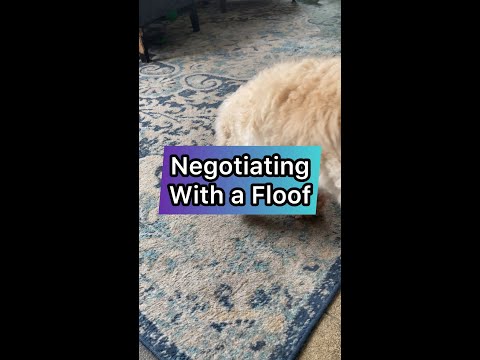 Clarity on priorities & their order of magnitude, like Wallace's, is a good start to a negotiation.