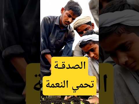 قصة الرجل والبستان المحترق وابناءة التي ذكرت في القران الكريم.. #حكايات_مسلم