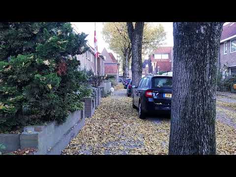 Eindhoven Autumn 2021