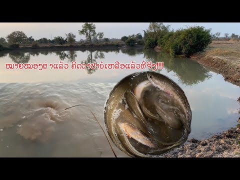 ປັກເບັດໝາຍໜອງລວມບ້ານທີ່ຜ່າແລ້ວບໍ່ຄິດເລີຍ(ปักเบ็ดหมายบ่อรวมบ้านที่ผ่าแล้วไม่คิดเลย)