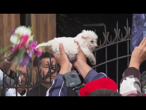 Pets receive blessings at Ecuadorian church during the feast of St. Francis of Assisi