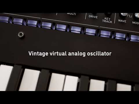 KORG Dense by Sinevibes - promo video