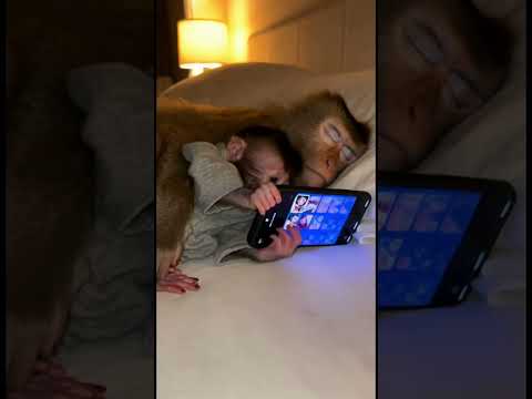 Mom had enough 😅 #mom #funny #fyp #scrolling